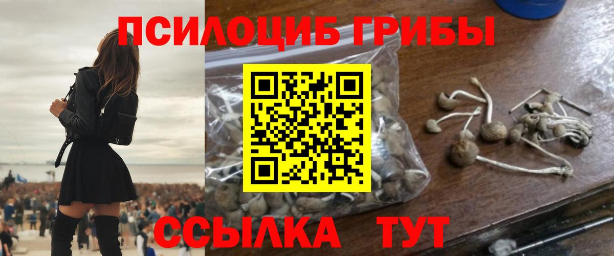 Рязань  Галлюциногенные грибы прущие грибы  Вход с VPN  Псилоцибиновые грибы прущие грибы 